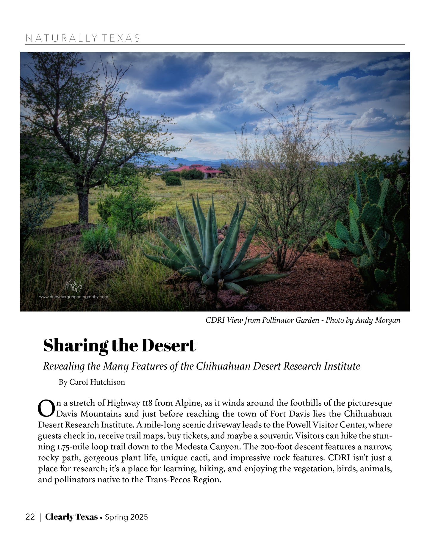 PRINT | 48 Pages | Ad-Free | Spring 2025